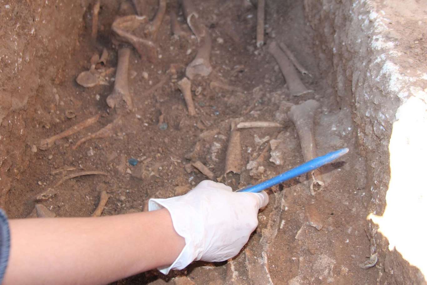 Adıyaman Perre antik kentte yapılan kazıda bin 600 yıllık insan iskeletleri ortaya çıktı